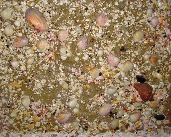 Beach Sand